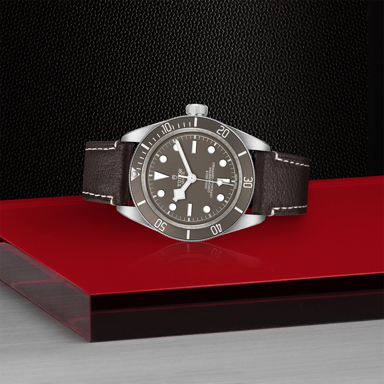 Tudor Black Bay 58 925 Silver Dive Watch - Luxury Swiss Automatic Diver for Men | Perfect for Professional Diving, Casual Wear & Special Occasions