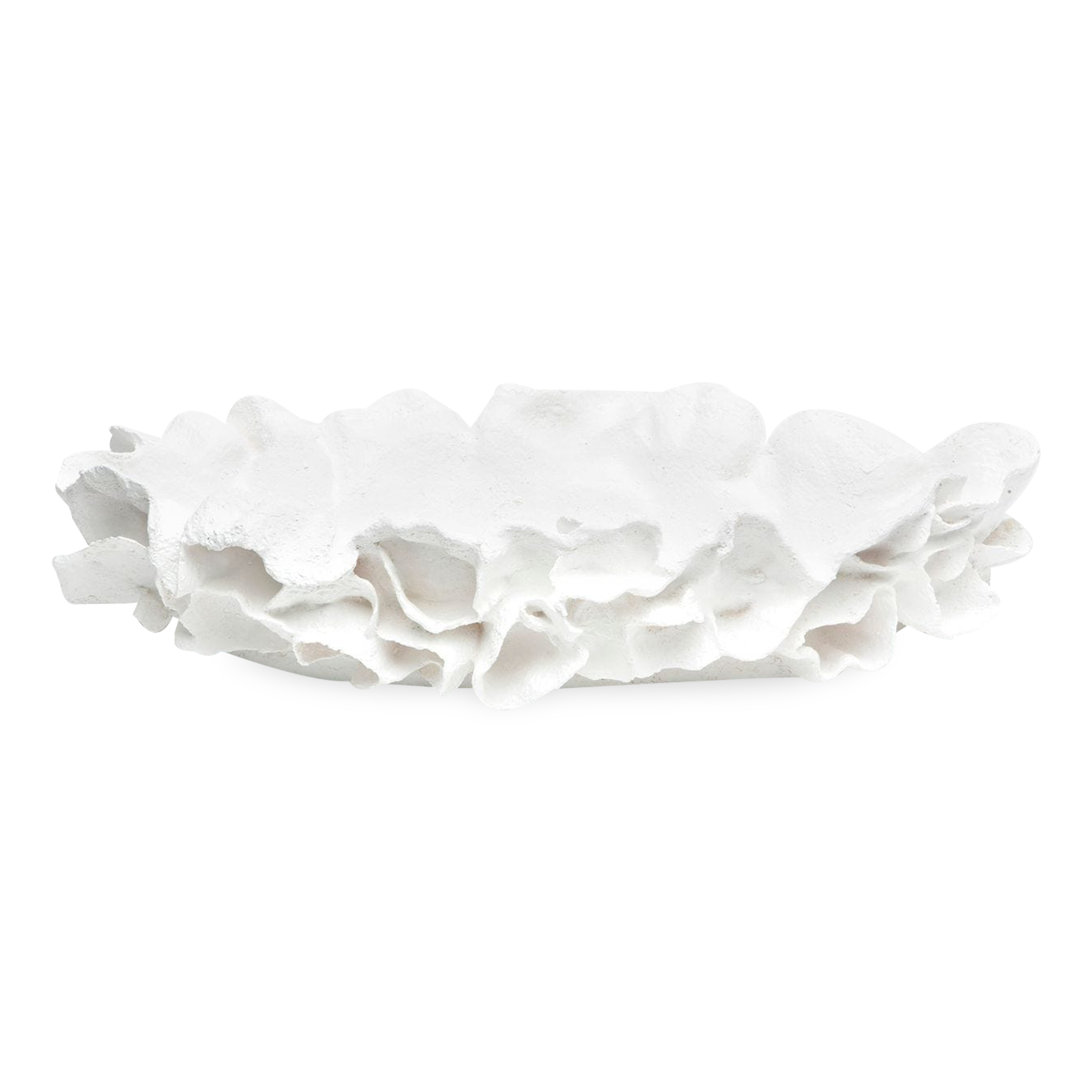 Coco Tray - Elegant Coconut Shell Serving Platter for Snacks, Fruits & Desserts | Perfect for Parties, Weddings & Home Decor