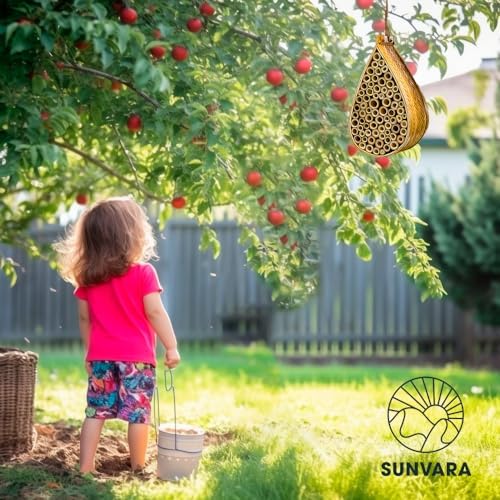 Wild Pollinator Mason Bee Habitat - Natural Garden Bee House for Pollination | Hanging Bee House Pack of 2 for Backyard, Orchard & Organic Farming