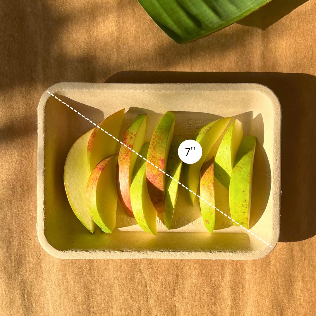 Eco-Friendly Disposable Plates (7 Inch, 50 Pack) - Biodegradable & Compostable Rectangular Dinner Plates Made from Natural Fibers | Perfect for Parties, Weddings, Picnics, BBQs & Everyday Use (Beige)