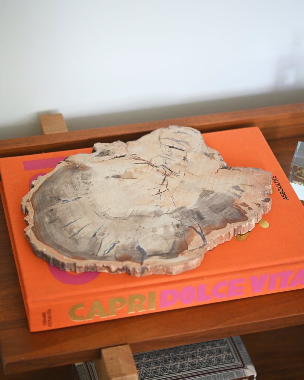 Natural Petrified Wood Slab - 3.7lbs Polished Fossilized Wood for Home Decor, Meditation Space & Unique Gift Idea | Perfect for Coffee Tables, Bookshelves & Office Desks
