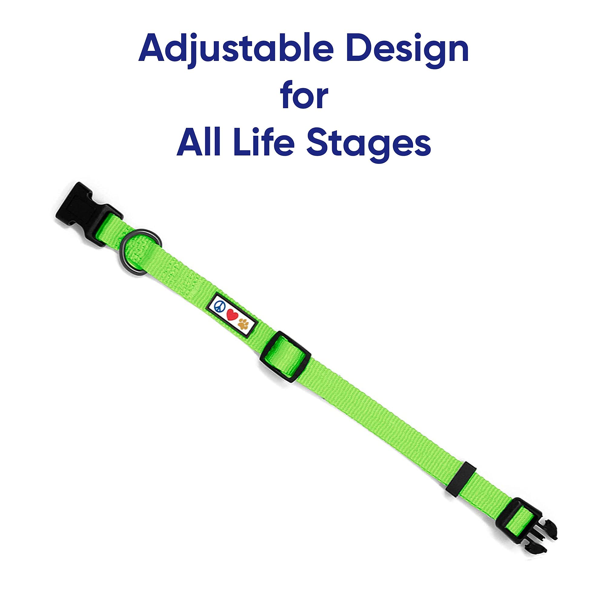 Pawtitas Small Dog Harness, Collar & Leash Set - Green | 6ft Adjustable Leash for Extra Small & Small Dogs | Perfect for Walking, Training & Outdoor Adventures