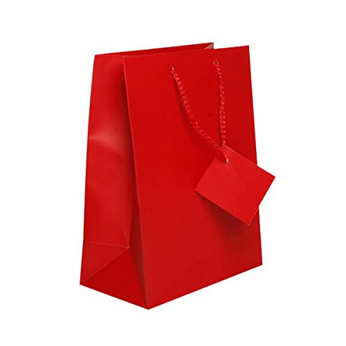 Premium JAM Paper Gift Bags with Rope Handles - Medium Size 8