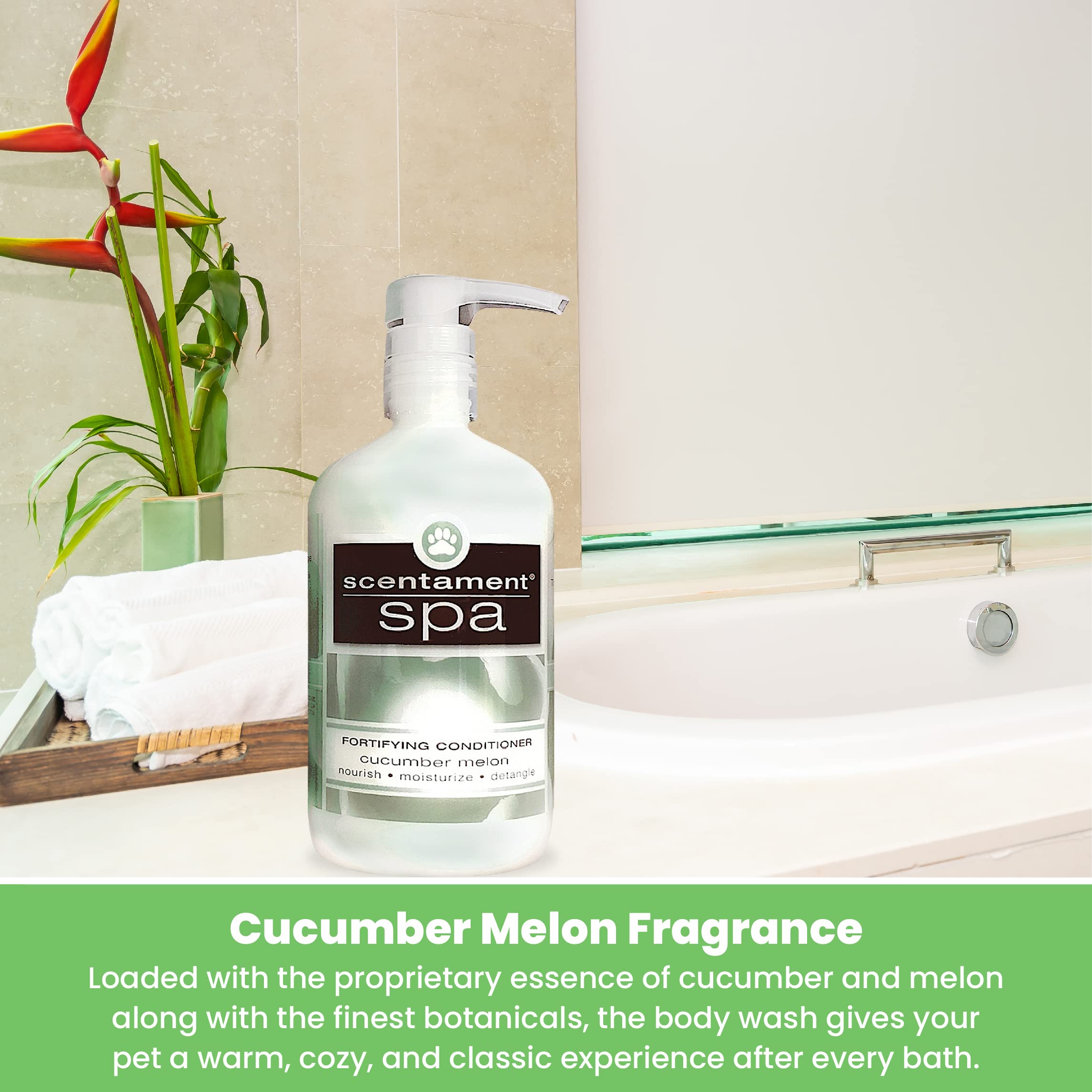 Best Shot Scentament Spa Caressing Body Wash - Cucumber Melon Scent, 16 oz - Hydrating & Relaxing Shower Gel for Women & Men - Perfect for Daily Use, Spa Days & Gift Giving