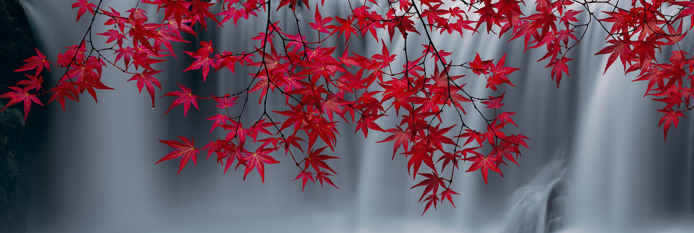 Scarlet Falls - Premium Home Decor & Wall Art for Living Room, Bedroom, Office | Perfect for Modern & Farmhouse Interior Design