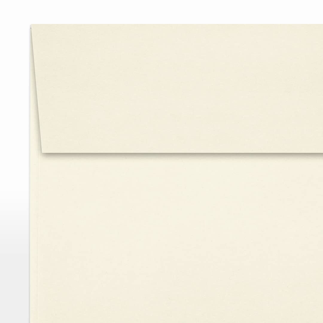 Premium LUXPaper Square Invitation Envelopes 5