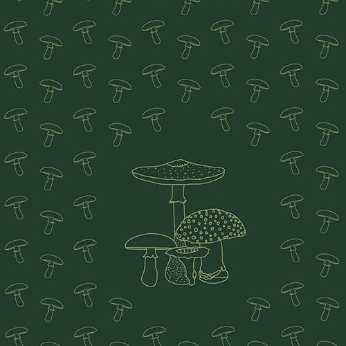 Z-Funghi