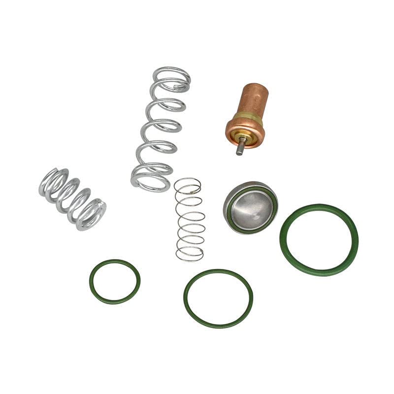 Atlas Copco Air Compressor Thermostatic Minimum Pressure Valve Repair Kit 2901-1095-00 – Replacement Part for Industrial & Workshop Use