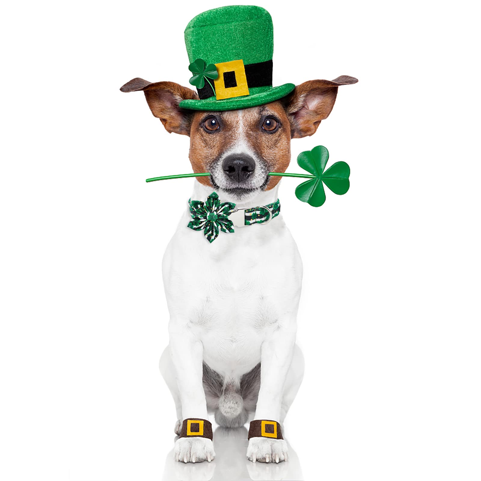 Adjustable St. Patrick's Day Dog Collar with Floral Bow Tie - Irish Clover Shamrock Design for Small, Medium & Large Dogs - Soft & Comfortable for Puppies (Black & White) | Perfect for Spring Festivals, Pet Parades & St. Patrick's Day Celebrations