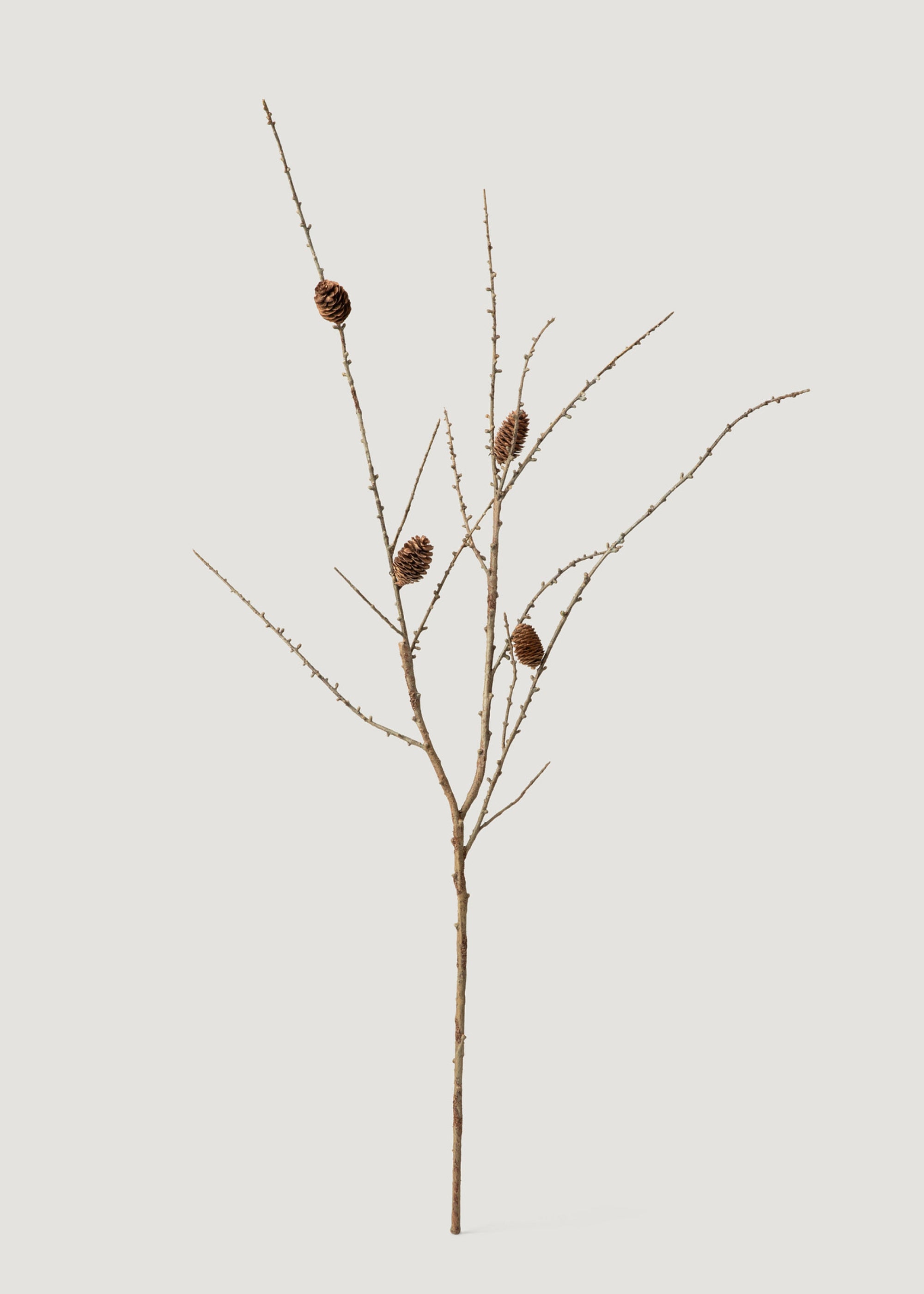Realistic Faux Larch Branch with Pine Cones - 46