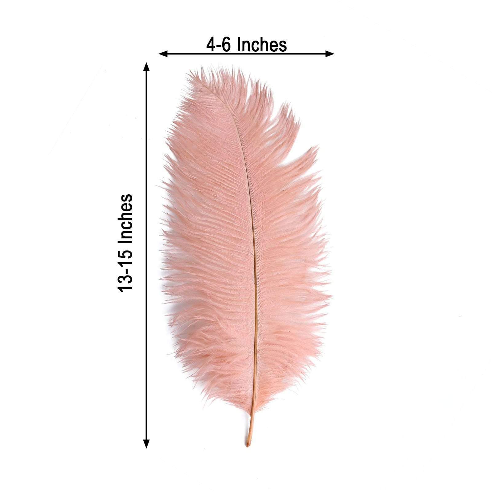 12 Pcs 10-15 Inch Genuine Ostrich Feathers for DIY Crafts, Wedding Decorations, and Costume Accessories