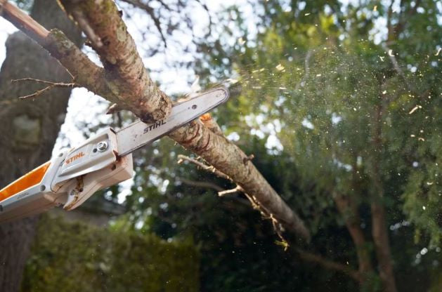 STIHL HTA 50 Battery-Powered Cordless Pole Pruner - Lightweight Tree Trimmer for Garden, Yard & Landscaping Maintenance