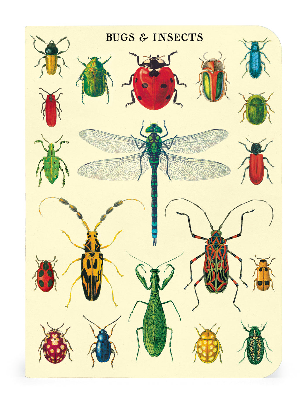 Bugs & Insects 3 Mini Notebook Set - Cute Insect-Themed Pocket Notebooks for Journaling, Sketching & Note Taking - Perfect for Students, Nature Lovers & Outdoor Adventures