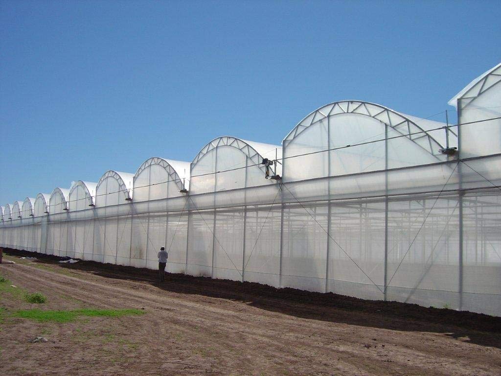 6 Mil Clear Greenhouse Plastic Film Cover - 16ft x 55ft Durable Polyethylene Sheeting for Plant Protection | UV Resistant, 4-Year Lifespan | Perfect for Backyard Gardens, Commercial Greenhouses & Plant Nurseries