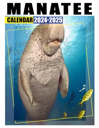 Manatee Calendar 2024-2025: 24-Month Planner with US Holidays | Perfect for Organizing, Gift Giving & White Elephant Parties | Great Christmas Present for Office, Home or School Use