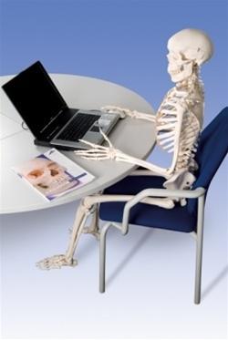 Posable Functional Skeleton Model - Frank Anatomical Figure for Medical Education & Halloween Decor | Perfect for Classroom, Doctor Office & Haunted House Displays