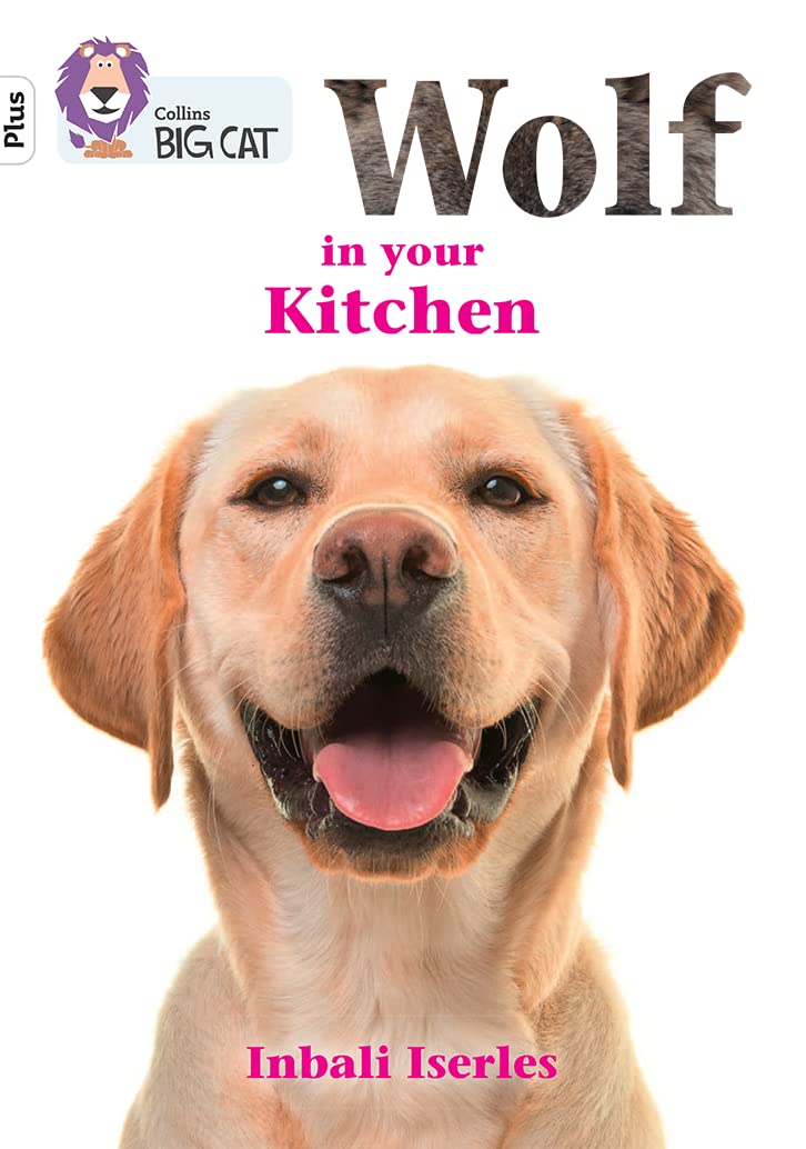 Wolf in Your Kitchen - Premium Kitchen Knives Set for Home Chefs | Perfect for Cooking, Slicing & Food Prep