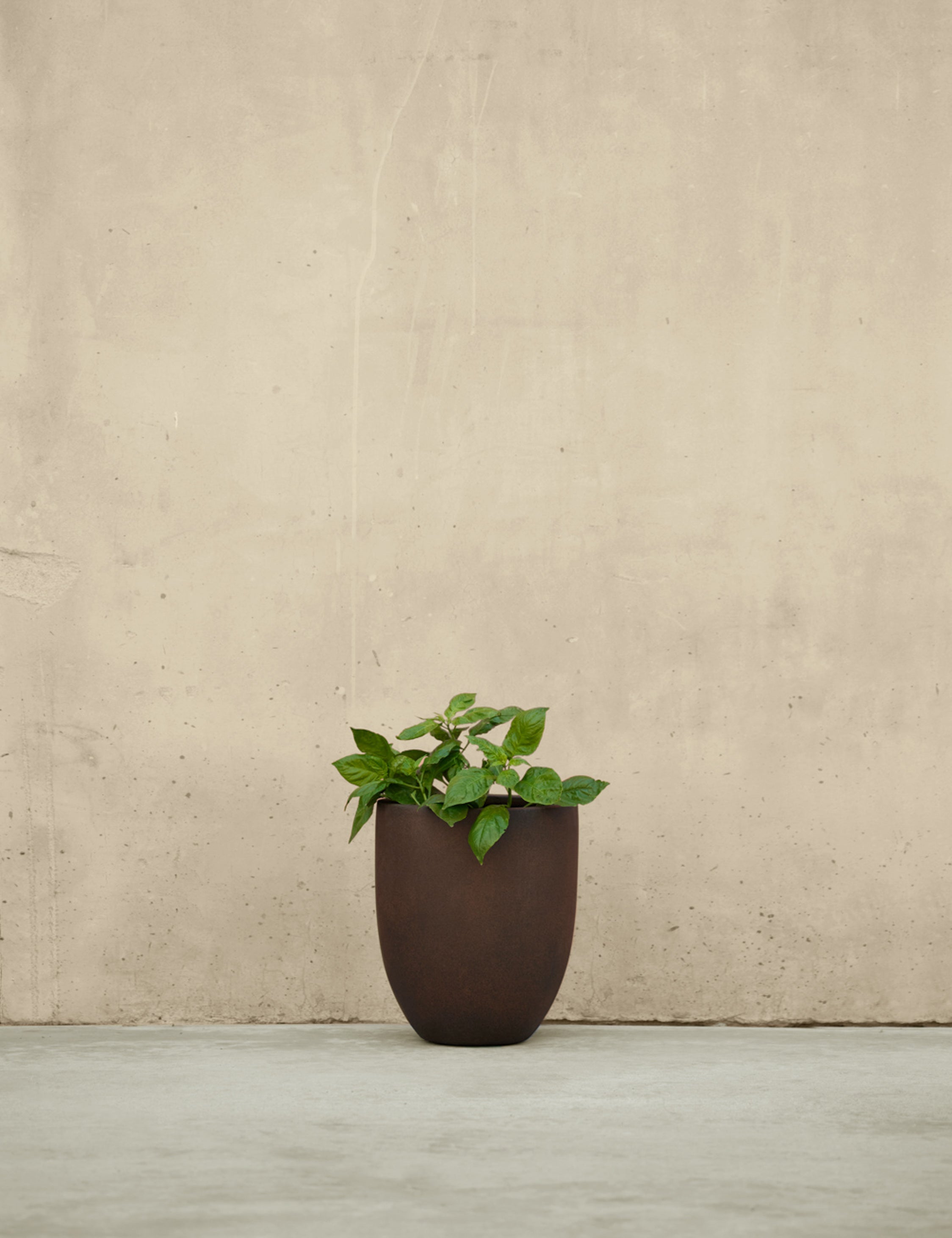 Campania International Bradford Planters - Elegant Garden Planters for Outdoor & Indoor Decor - Perfect for Patios, Balconies, and Home Gardens