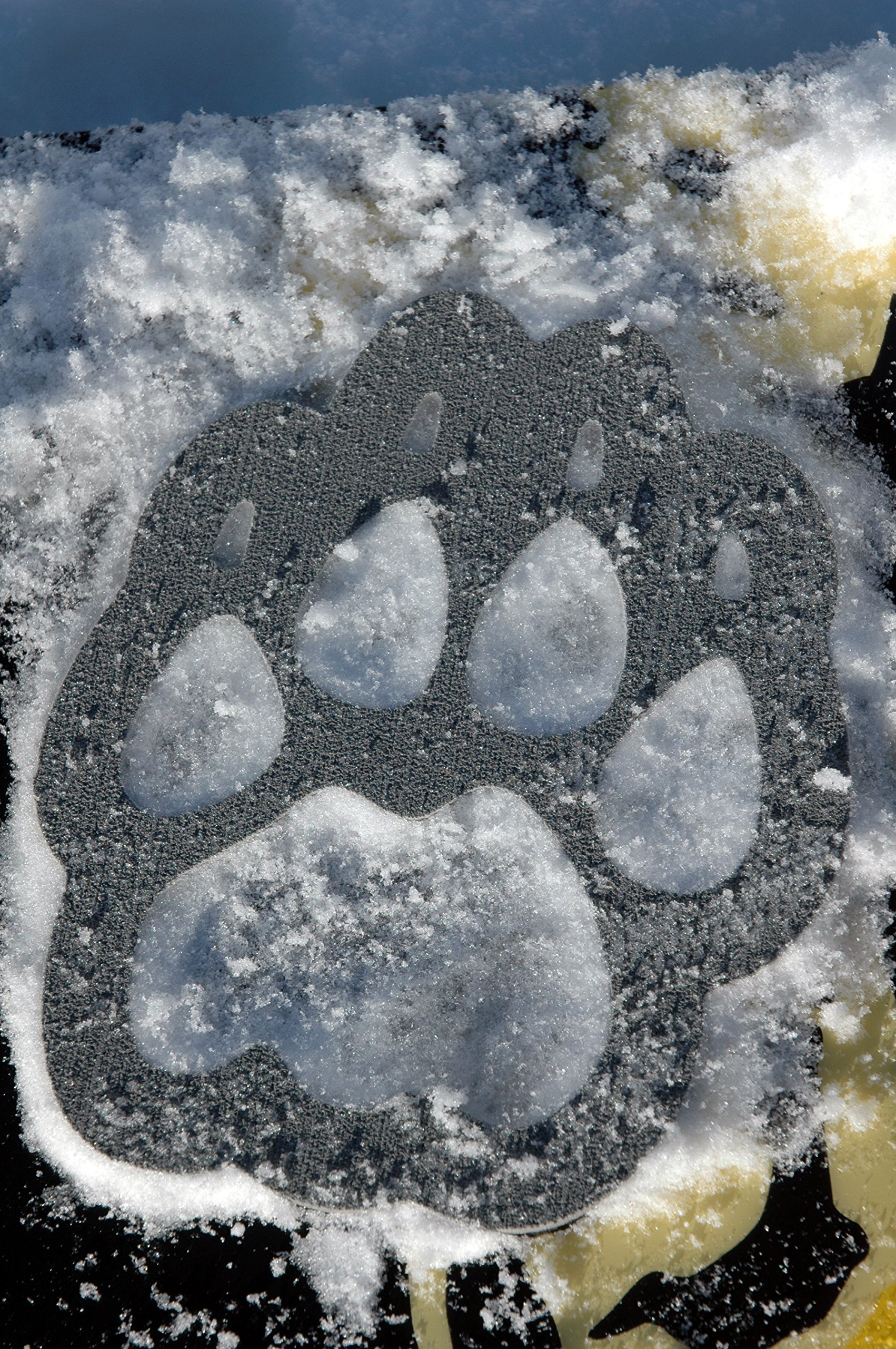 Cougar PAW Snowboard Stomp Pad - Non-Slip Grip Traction for Snowboard Boots - Gray - Perfect for Mountain Riding & Park Tricks