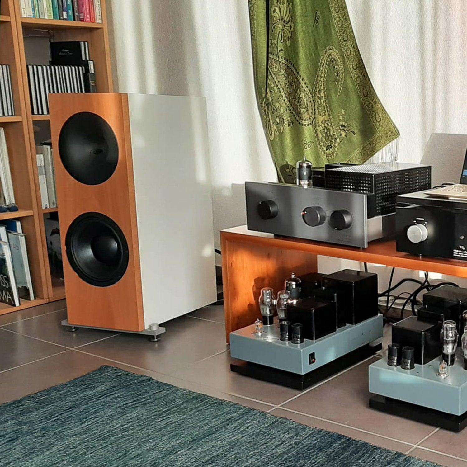 Tobian Sound Systems 10FH Full Range Horn Speakers - High Fidelity Audio for Home Theater, Outdoor Events & Live Performances