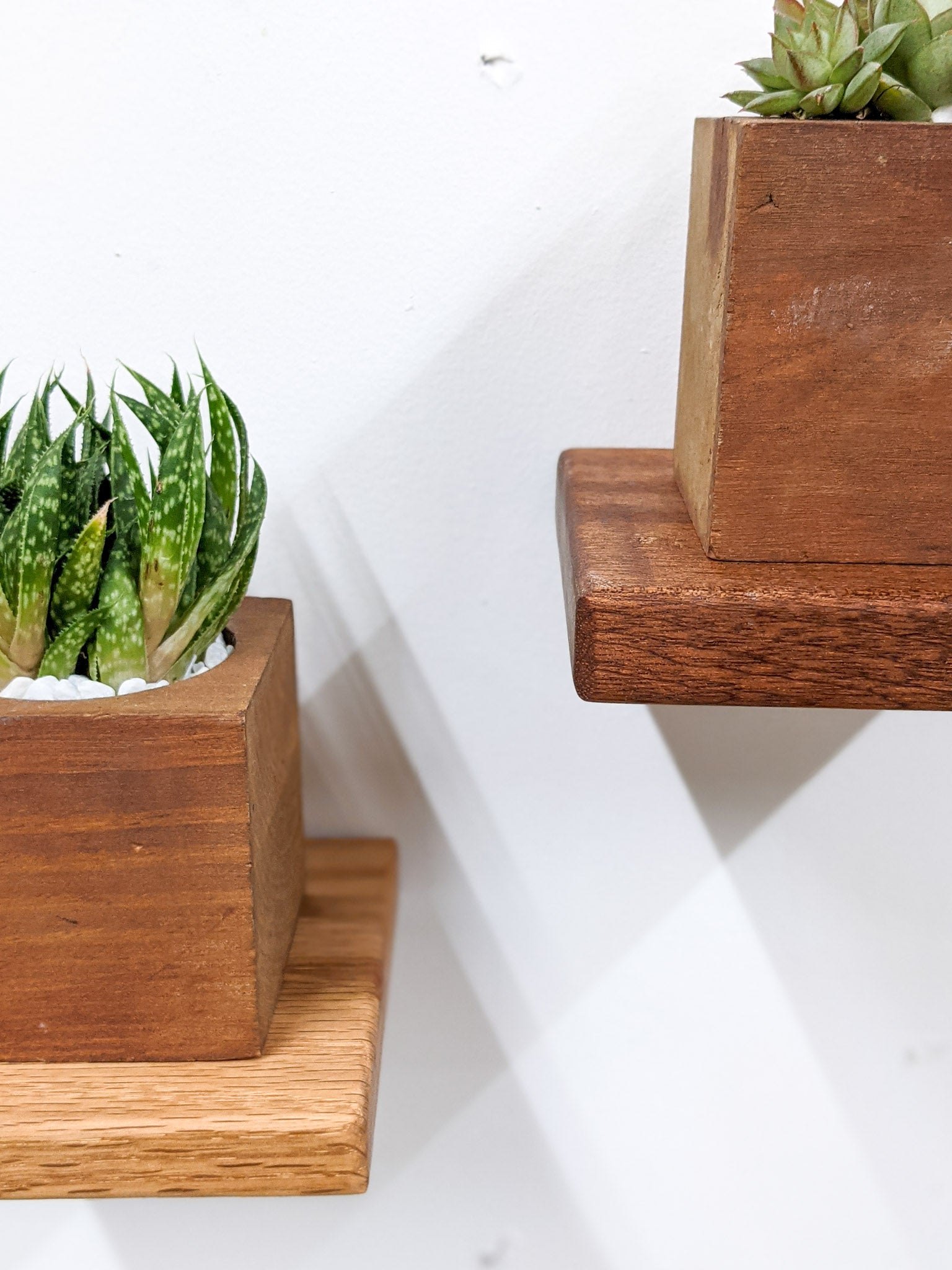 Mahogany Small Square Display Shelf - Elegant Wooden Shelf for Home Decor, Books & Collectibles | Perfect for Living Room, Bedroom & Office Organization