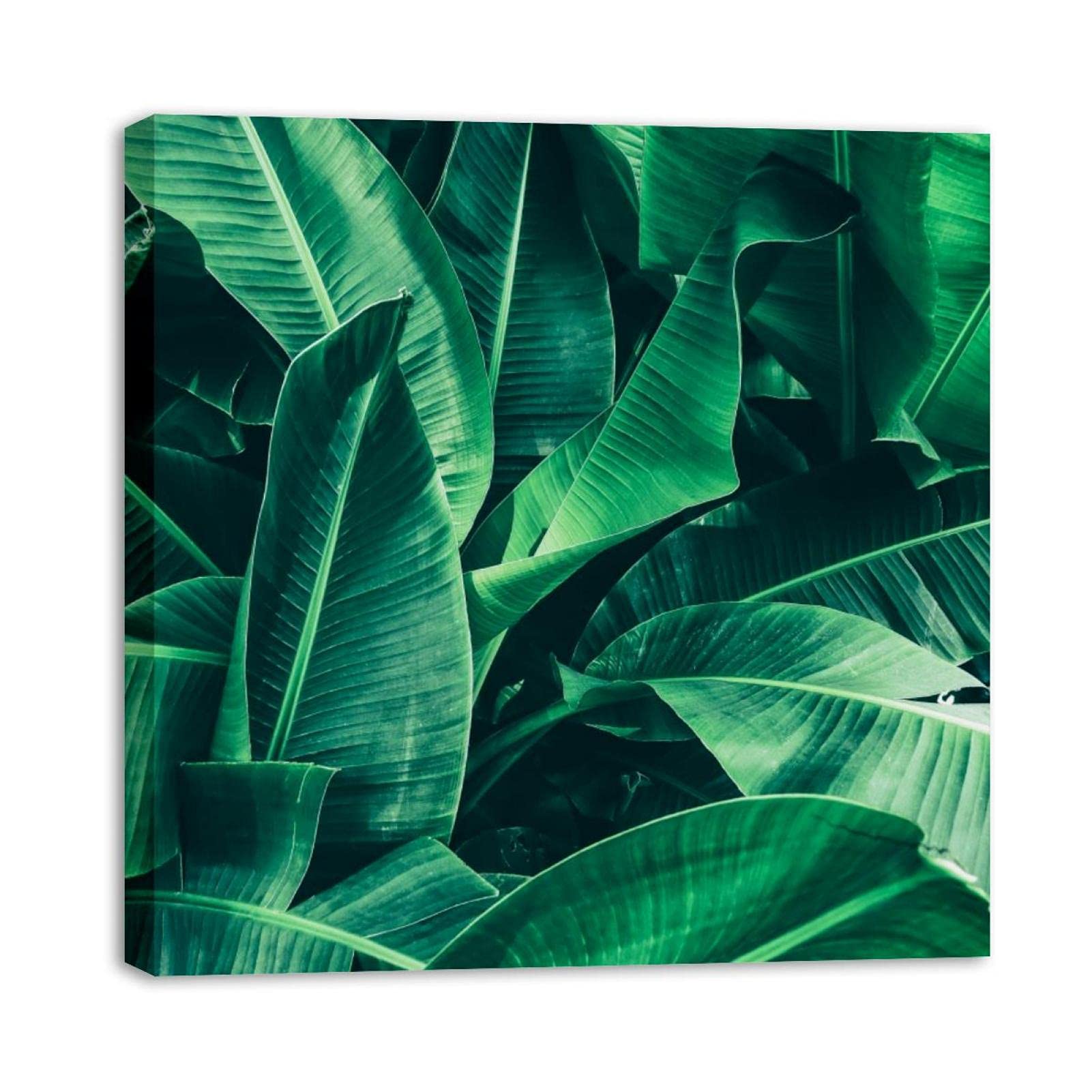 Banana Leaf Palm Framed Canvas Wall Art - Tropical Oil Painting Poster for Living Room, Bedroom, Bathroom & Office Decor | Perfect for Beach House, Boho & Coastal Style Home Decoration
