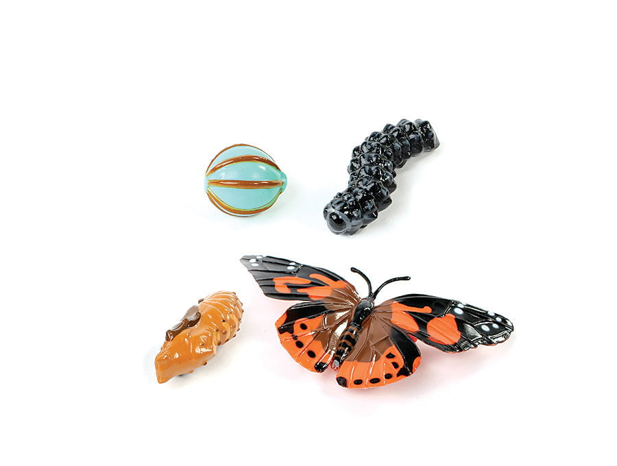 Insect Lore Butterfly Life Cycle Figurines - 4 Piece Educational Toy Set for Kids | Science Learning, Classroom Teaching & Nature Exploration