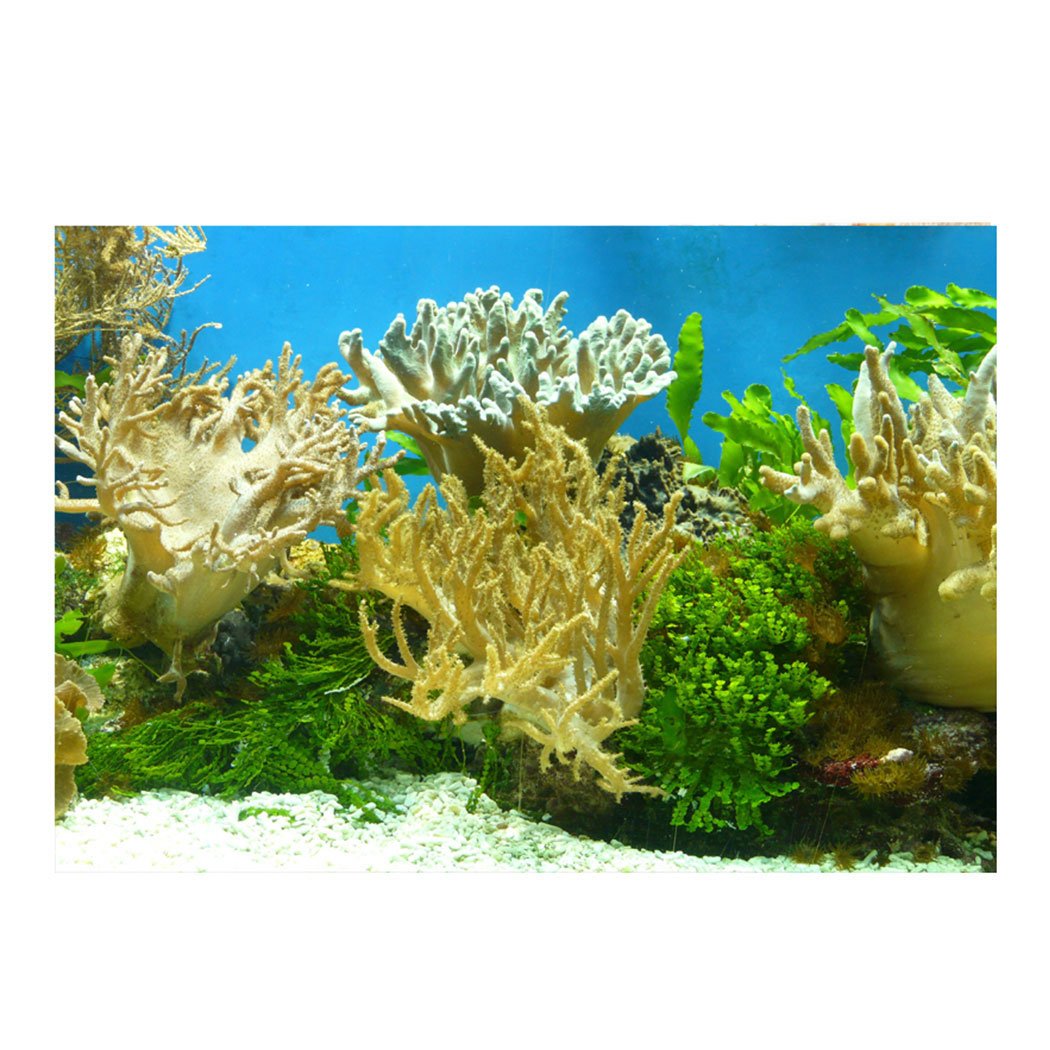 YOKOU Aquarium Background Wallpaper - Coral Reef Fish Tank Backdrop, Static Cling Decorative Sticker 35.4