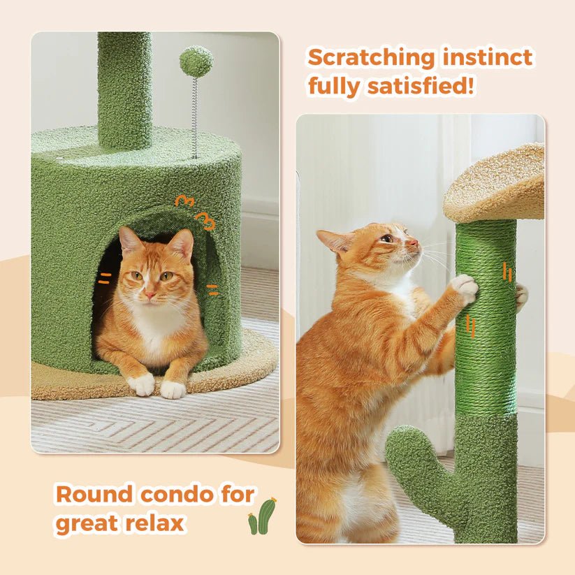 Cactus Cat Condo - Cozy Cat Tree House with Scratching Posts for Indoor Cats | Perfect for Play, Climbing & Napping in Small Spaces