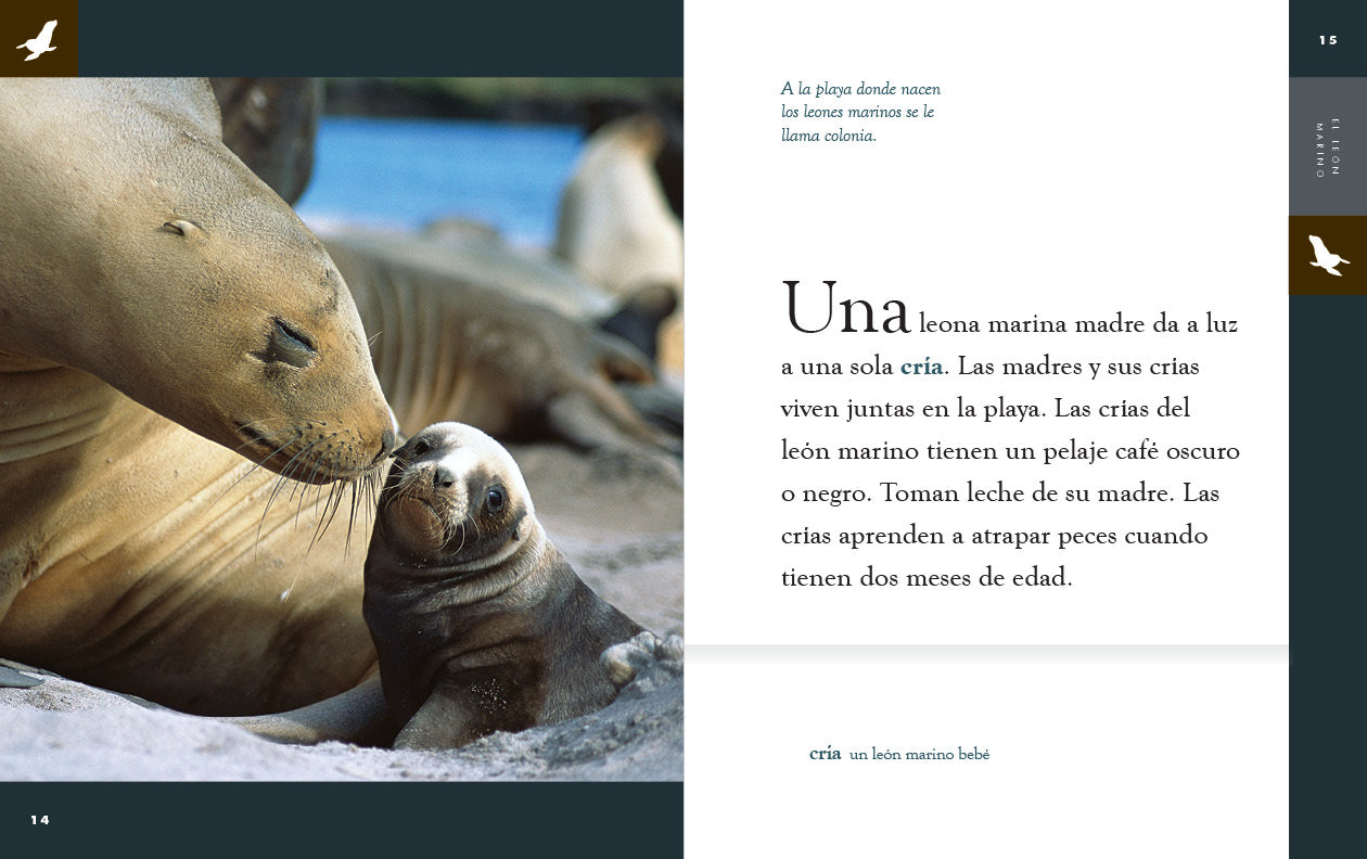 El Leon Marino Book 9781640266803 - Learn About Sea Lions | Perfect for Kids, Marine Life Enthusiasts & Classroom Learning