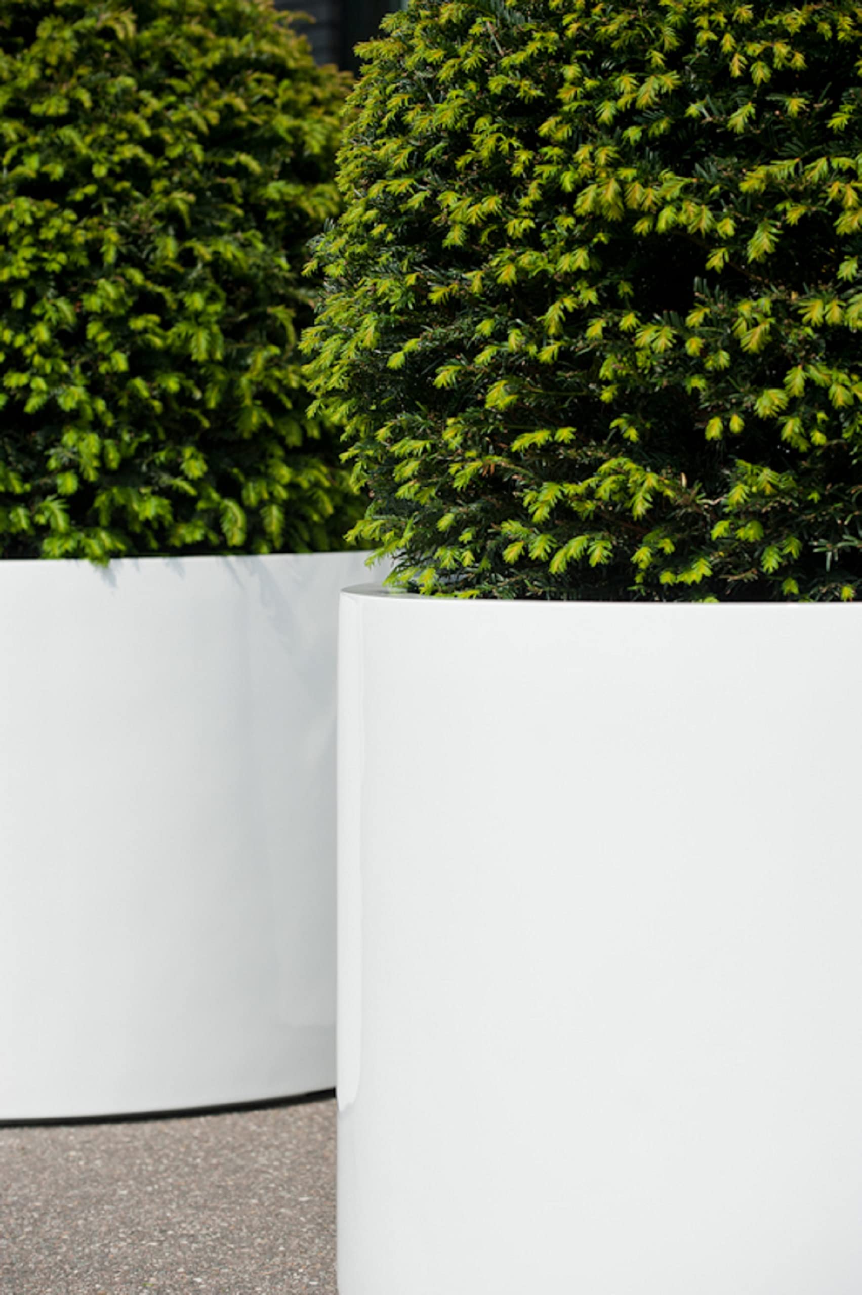 Elegant Glossy White Cylinder Flower Pot - 17