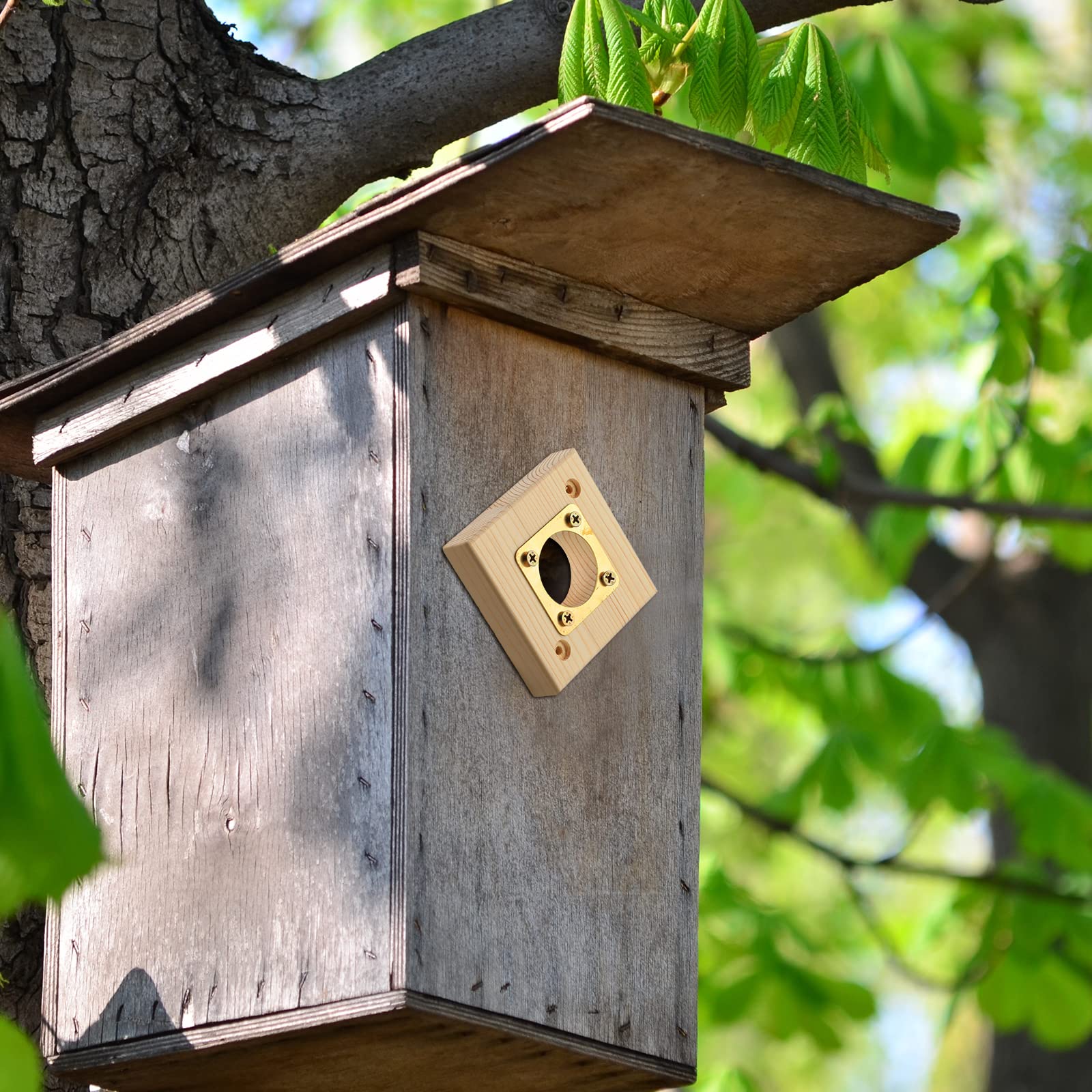 2 Pack Bluebird House Predator Guard - 1.5 Inch Opening Wooden Copper Replacement for Bird Houses - Protect Nesting Birds from Squirrels & Raccoons in Your Backyard Garden