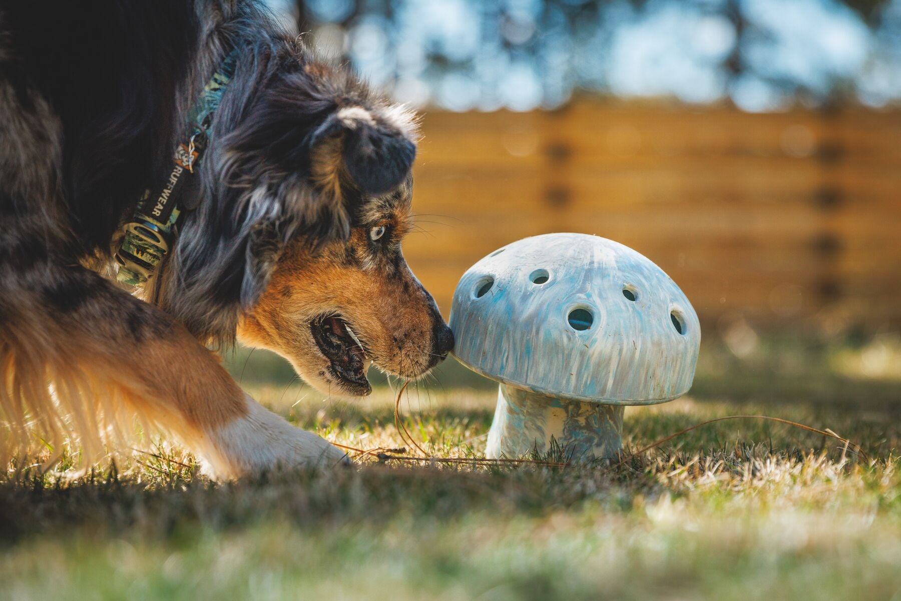 Ruffwear® Porcini™ Dog Toy - Interactive Puzzle Feeder & Treat Dispenser for Mental Stimulation - Gray Sky | Perfect for Training, Enrichment & Boredom Relief