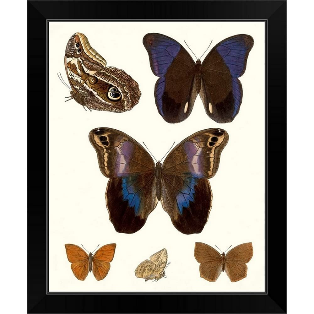 Violet Butterflies IV Framed Canvas Art Print - Black Frame Wall Decor, Butterfly Painting for Living Room, Bedroom & Office