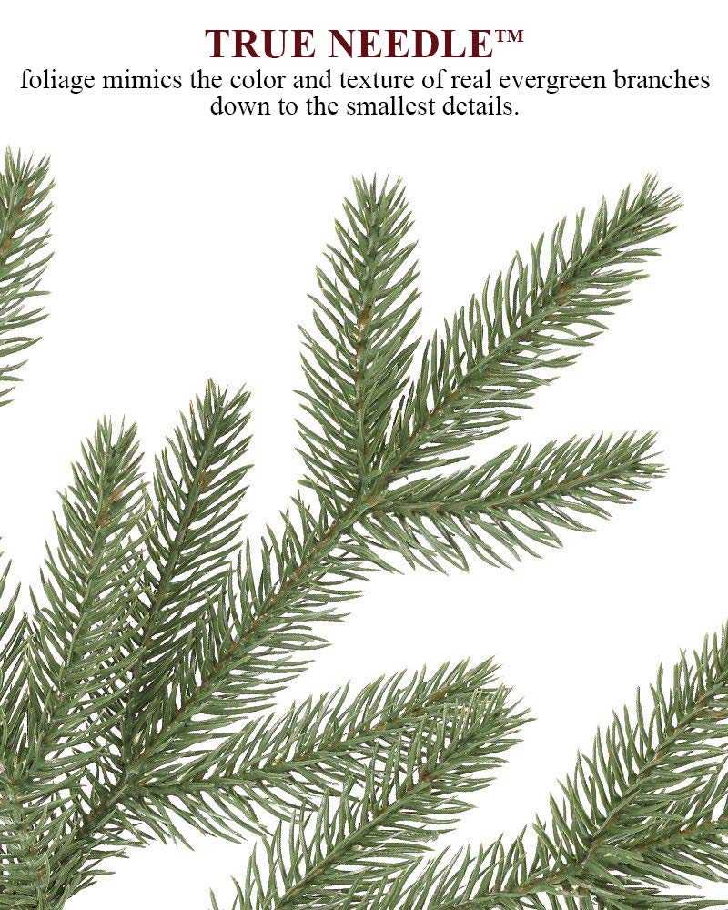 Balsam Hill 6.5ft Pre-Lit Stratford Spruce Artificial Christmas Tree with LED Clear Lights - Perfect for Holiday Home Decor & Festive Celebrations
