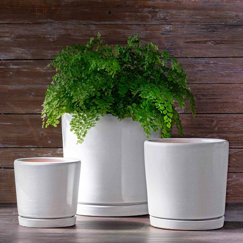 Campania International I/O 2 Cylinder Planter Set of 3 in Cloud - Modern Outdoor Garden Decor for Patio, Balcony & Home Entrance
