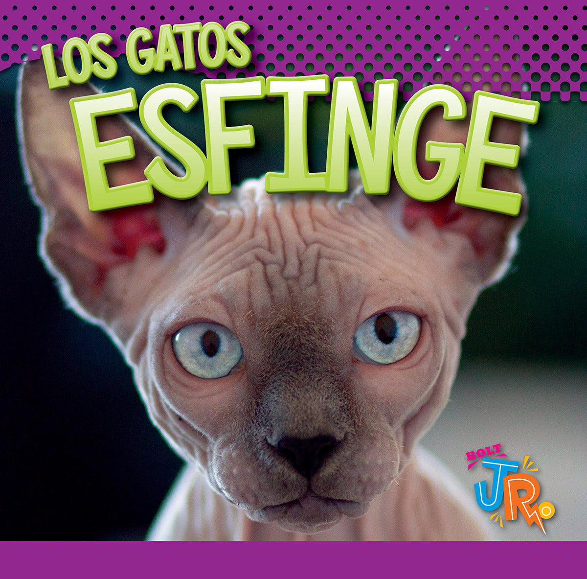 Hairless Cat Clothes for Sphynx Cats - Soft & Warm Pet Outfits for Indoor & Outdoor Use