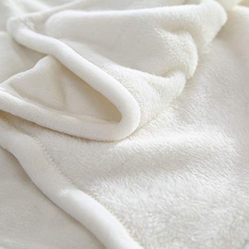 Sleepwish Sea Turtle Flannel Fleece Throw Blanket - Soft Blue & Green Ocean Animal Design - 60x80 Inch Cozy Bed Blanket - Perfect for Sofa, Bedroom & Gift Giving - Marine Life Themed Home Decor