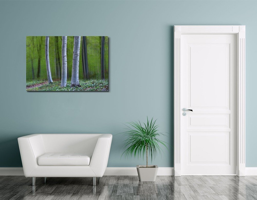 Wall26 Canvas Art - Three Tree Trunks in Magic Forest Spring Landscape with Anemone Flowers - 32x48 Inch Wall Decor for Living Room, Bedroom & Office