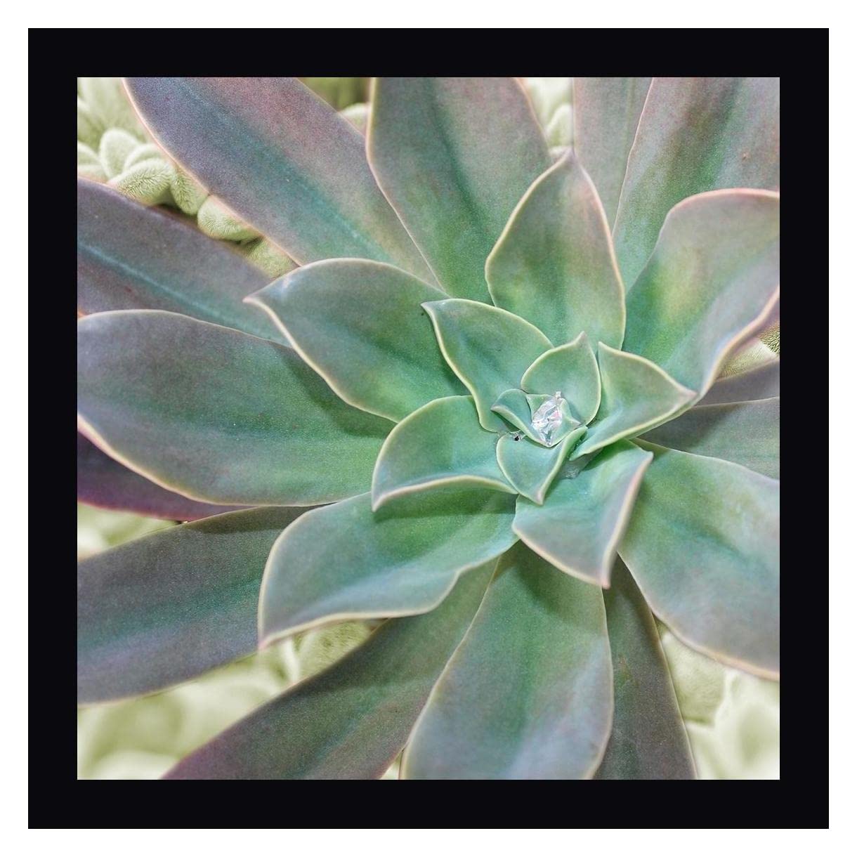 Marcus Prime Springtime Joys 1 - 20x20 Inch Framed Canvas Wall Art Print with Black Frame - Ready to Hang - Perfect for Living Room, Bedroom & Office Decor