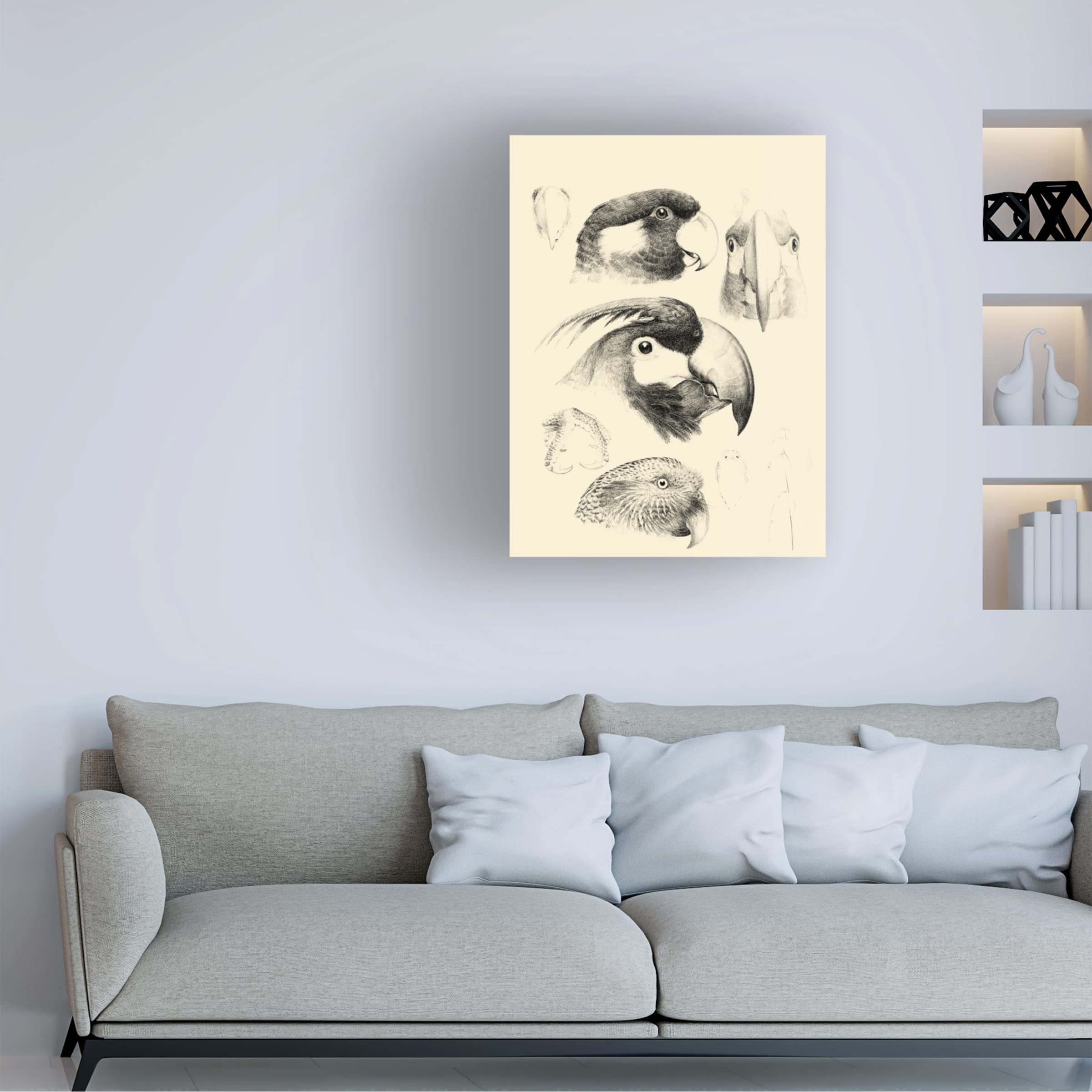 Trademark Fine Art 'Waterbird Sketchbook III' Canvas Wall Art Print by Vision Studio - Perfect for Living Room, Bedroom & Office Decor