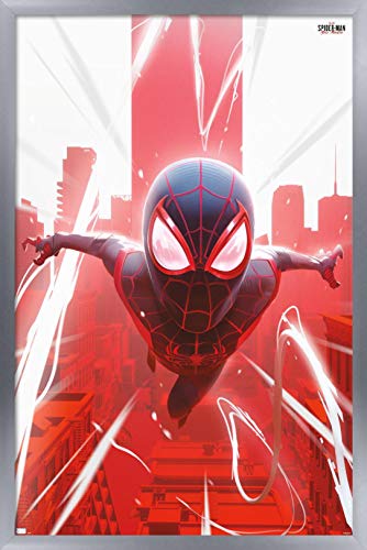 Silver Framed Version