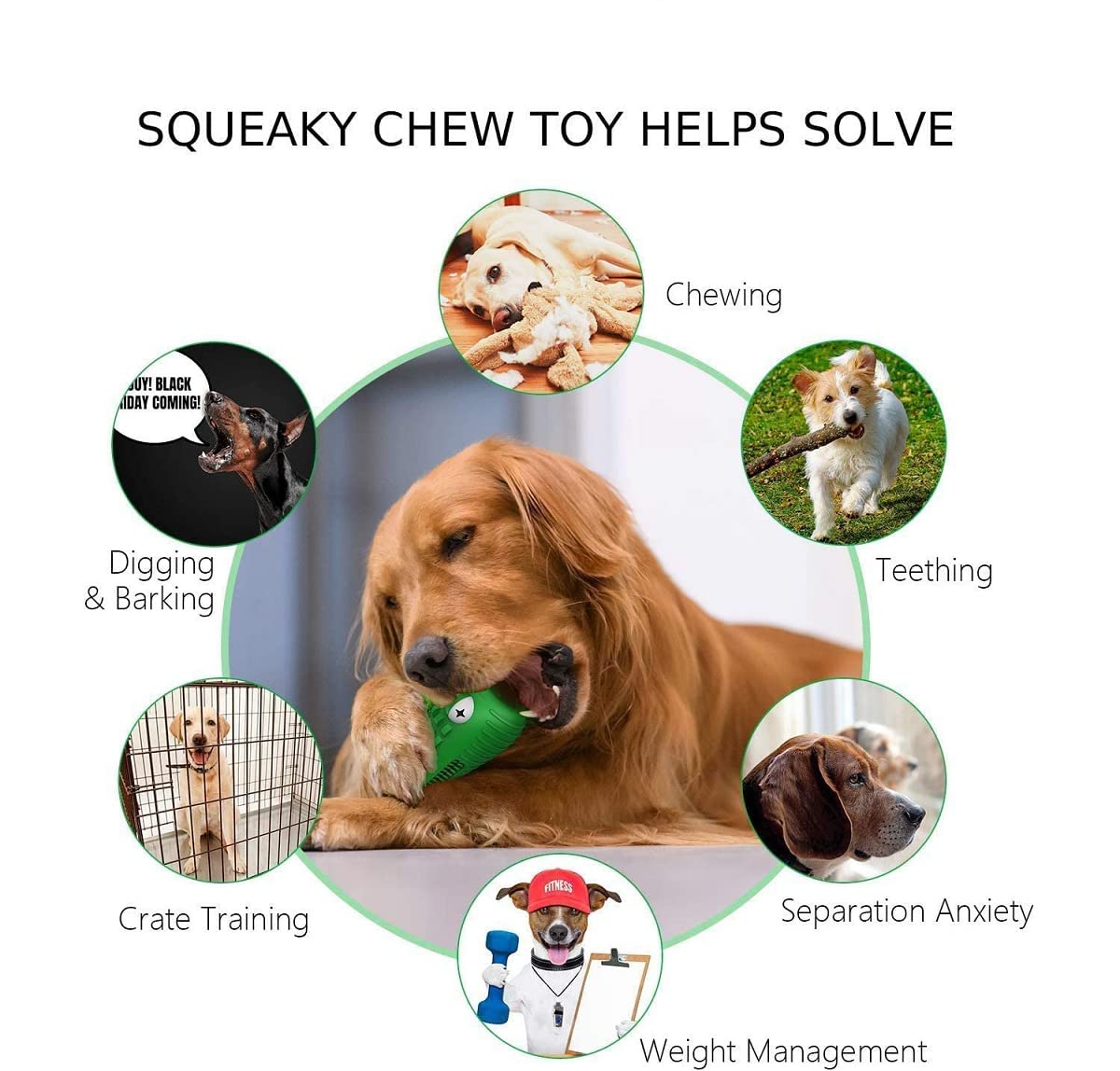 Durable Natural Rubber Dog Chew Toy for Aggressive Chewers - Squeaky Toothbrush Toy for Medium & Large Dogs | Fun Chewing & Chasing Play for Indoor & Outdoor Use