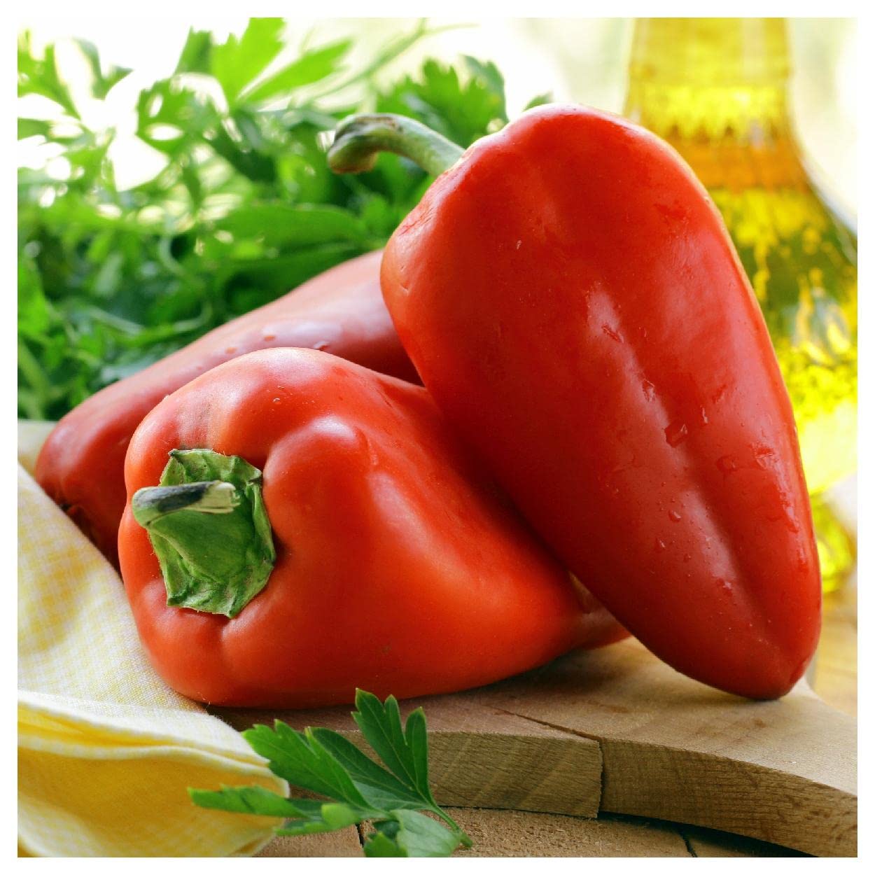 50 Pimento Sweet Pepper Seeds - Non-GMO Heirloom Seeds for Home Garden Planting - Perfect for Salads, Salsas, and Canning - Everwilde Farms Gold Vault Seed Packet