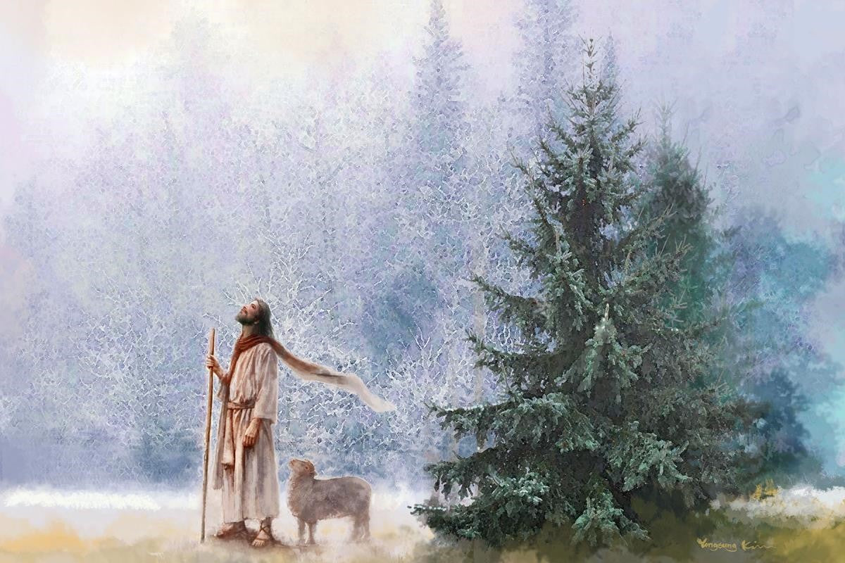 Heavenward Gallery Wrap Canvas - Premium Stretched Wall Art for Home & Office Decor - Perfect for Living Room, Bedroom, and Office Spaces