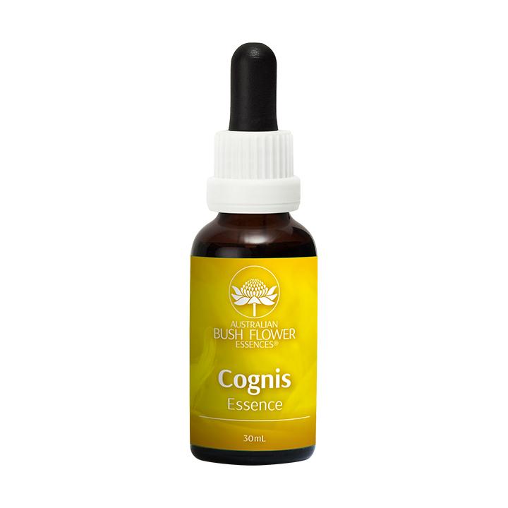 Australian Bush Flower Focus Drops - Natural Herbal Remedy for Concentration & Mental Clarity | Improve Focus for Study, Work & Meditation