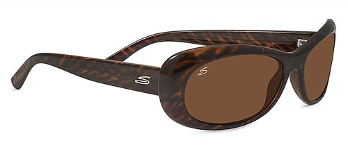 Dark Brown Stripe Tortoise Frame