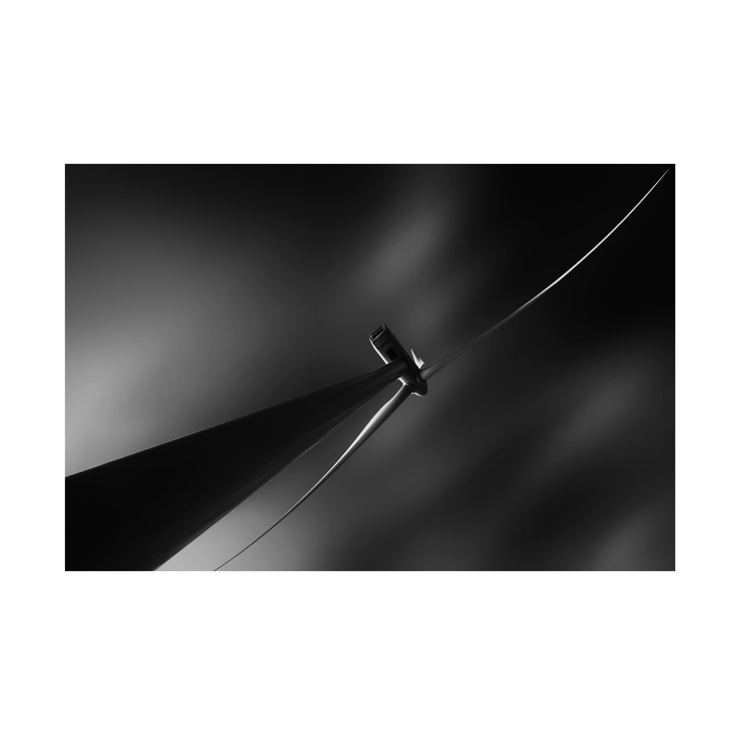 Trademark Fine Art 'Running On The Wind' Canvas Wall Art by Greetje Van Son - Modern Home Decor for Living Room & Bedroom