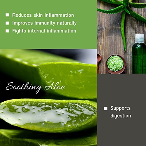 HERBAL HILLS Aloe Vera Capsules (Aloe barbadensis) | 120 Count (500mg Each) | Pure Freeze-Dried Aloe Powder Supplement for Digestive Health & Immune Support | High Potency Aloe Vera Extract for Skin Care, Detox & Overall Wellness | Vegan & Non-GMO