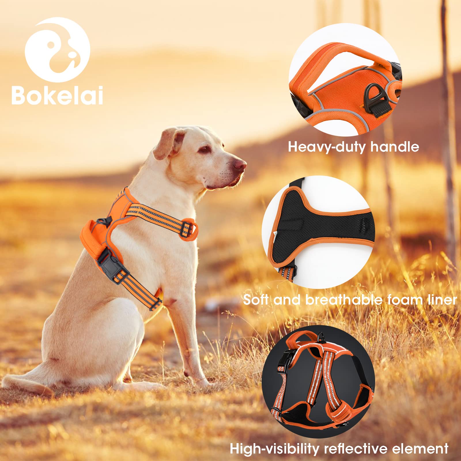 No Pull Dog Harness for Small Medium Large Dogs - Adjustable Reflective Pet Vest with Front Clip & Padded Design - Easy Control Handle for Outdoor Training, Walking & Hiking - Perfect for Daily Use, Park Visits & Pet Adventures (Orange)